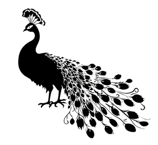 The Paisley Peacock | Layer